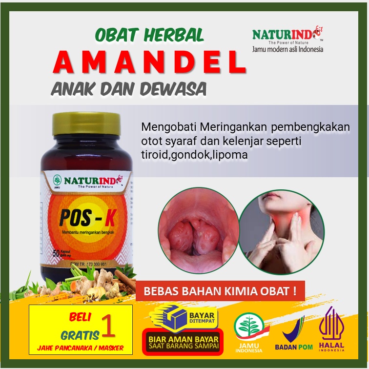 Obat Amandel Paling Ampuh Obat Amandel Anak Obat Amandel Dewasa Obat Herbal Amandel Obat Radang Aman