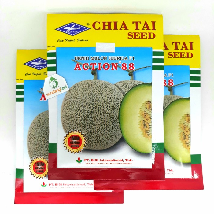 Benih Bibit Melon Tahan Virus ACTION 88 F1