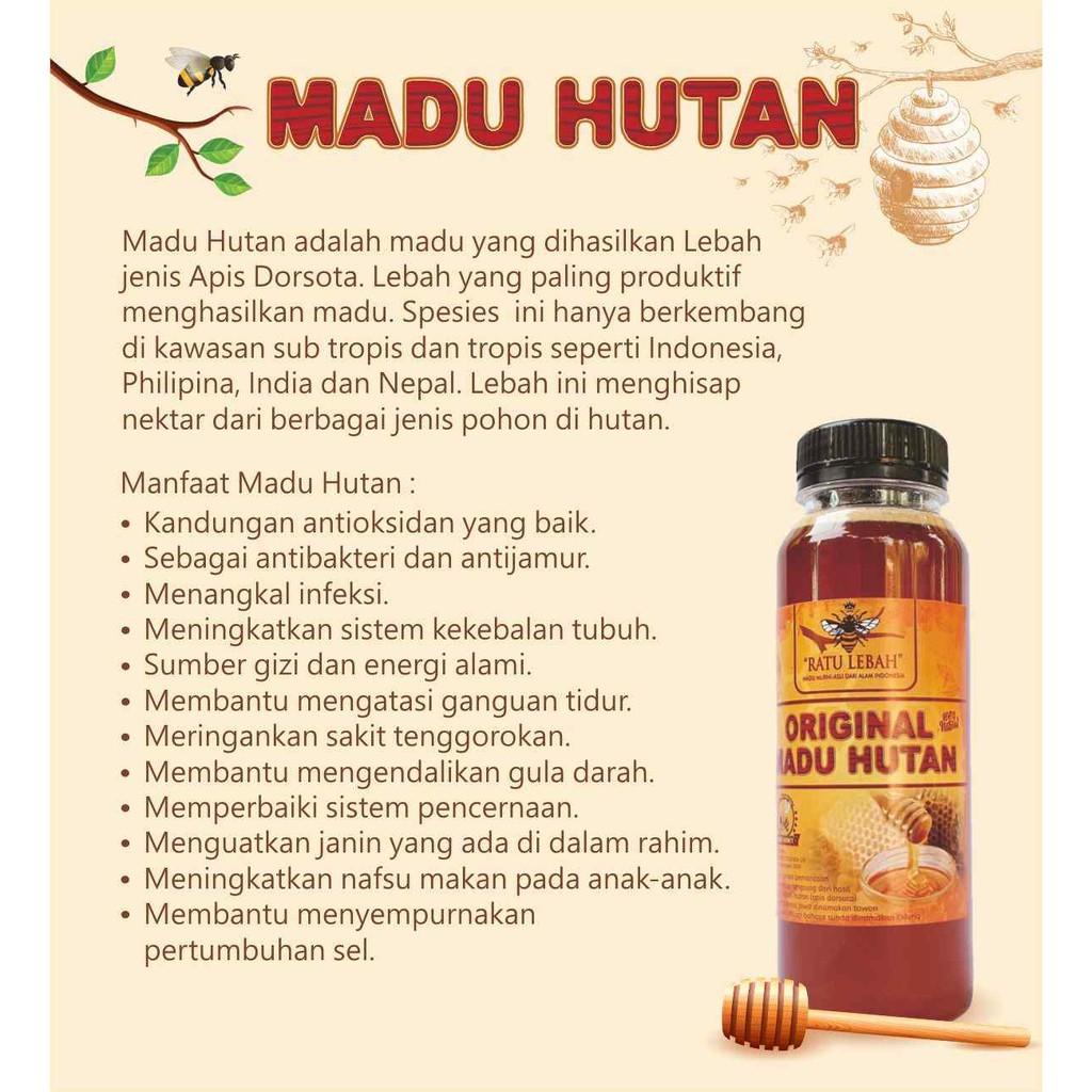 

Madu Hutan Asli 350 Ml Apis Dorsota Madu Murni Hutan Sialang Riau Sumatera Ratu Lebah Berkualitas Best Seller