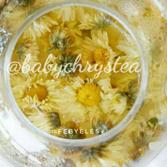 

➶ Chrysanthemum Tea ♚