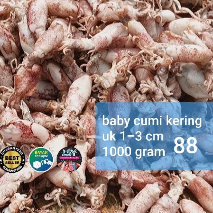 

➻ ikan asin baby cumi / cumi rebus kering 88 berat 1kg ☊