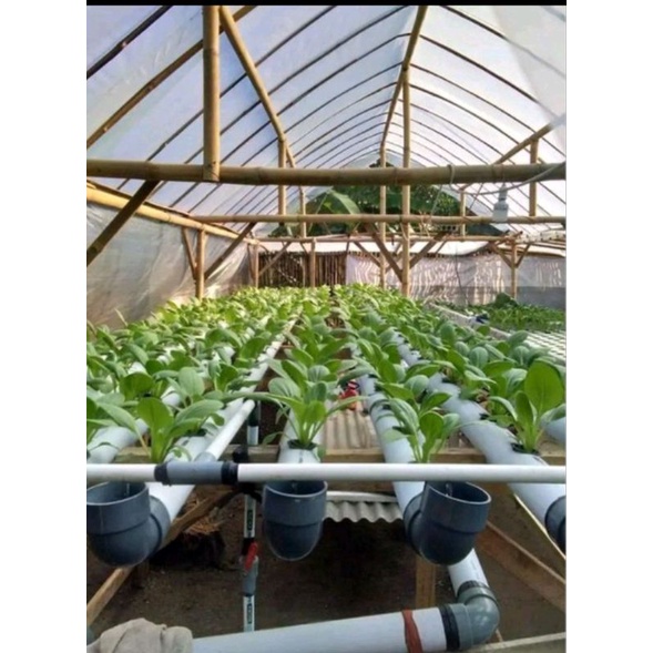 PLASTIK UV 200MICRON LEBAR 5meter 4meter 3meter dan 2meter