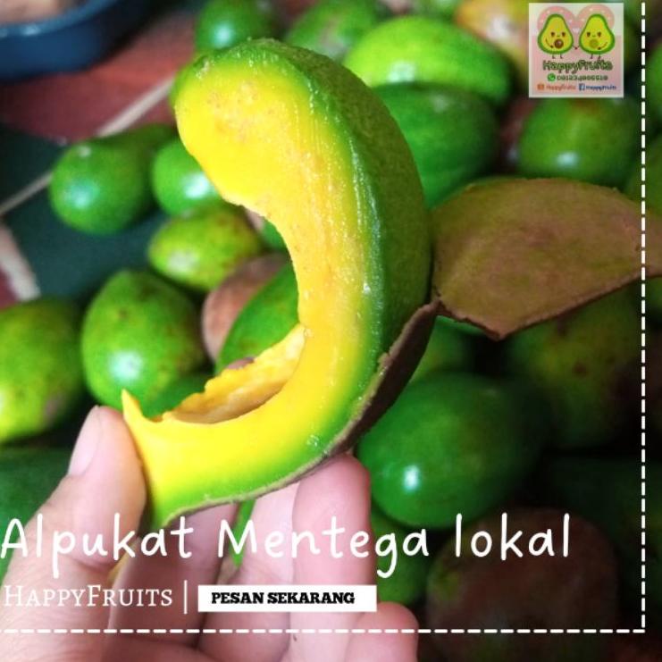 

♔ BUAH ALPUKAT MENTEGA LOKAL HAPPYFRUITS 2KG ✷