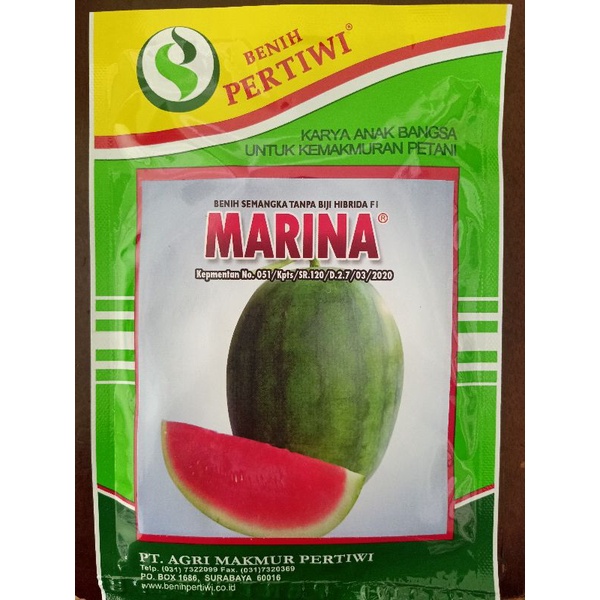 Benih Semangka Non Biji Marina 20Gram Hibrida F1