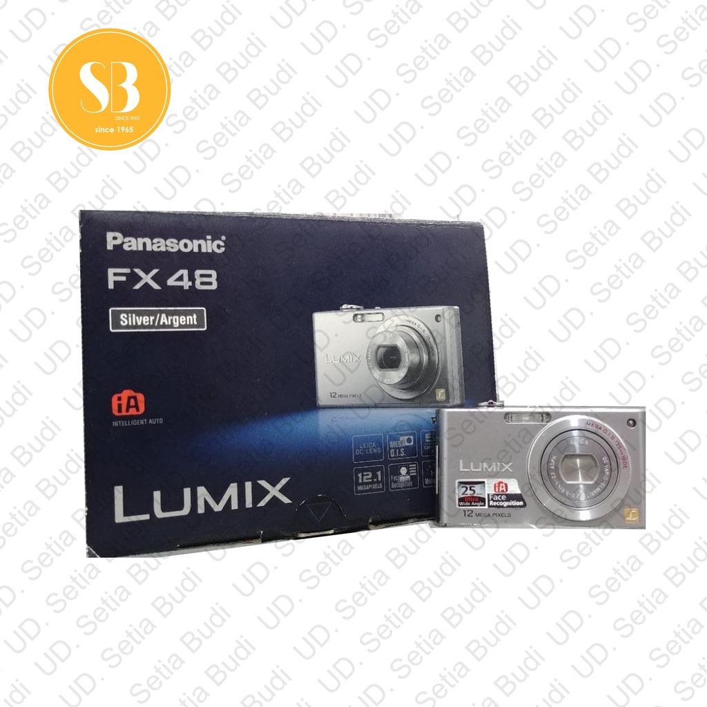 Kamera Digital Panasonic Lumix Leica DMC-FX48 Baru