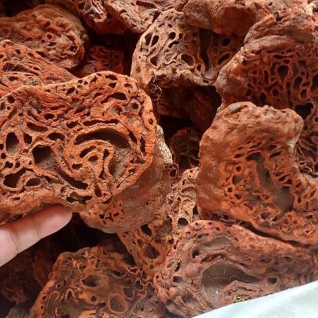 

☃ Sarang Semut Papua Asli 500gr ⅍