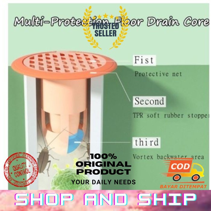 FMFIT BUCO PULIRE X9 / ATASI MAMPET DAN KECOA