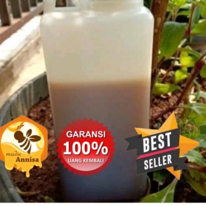 

☊ Promo sialang jambi spesial event ❅