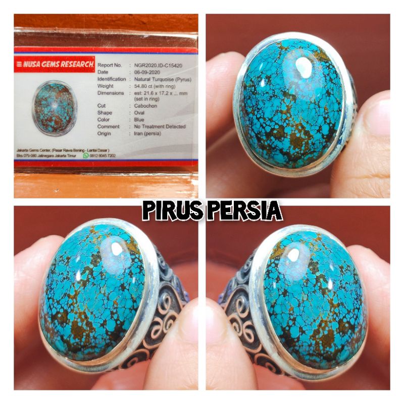 PIRUS PERSIA CEPLOK KURO LAWASAN