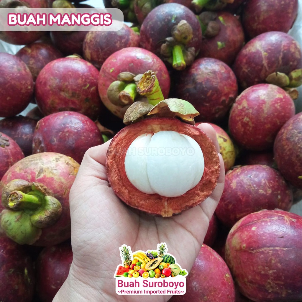 

Buah Manggis