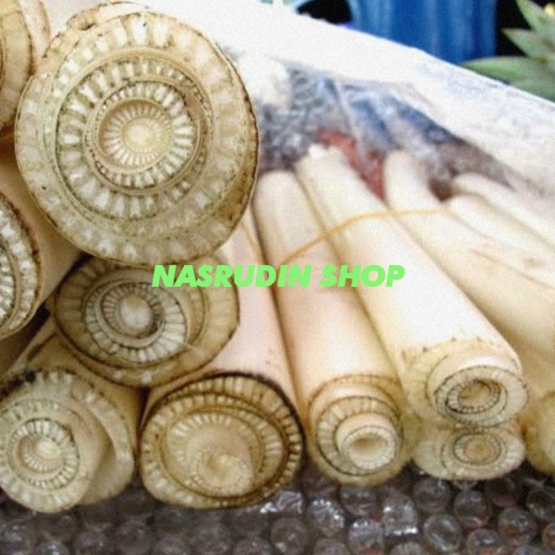 

BATANG ATI PISANG 1KG / BATANG PISANG MUDA SEGAR SIAP KIRIM / JEROAN PISANG