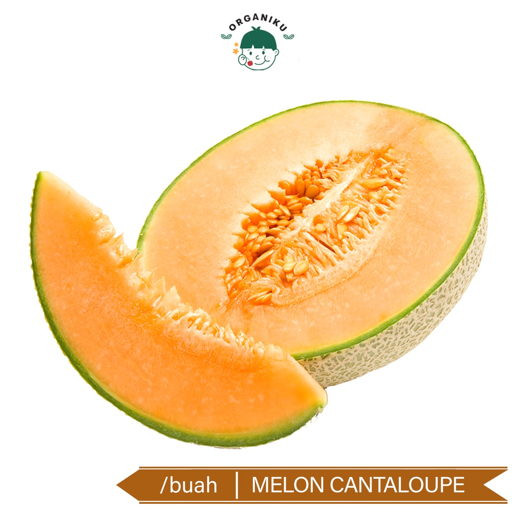 Melon Canteloupe Utuh