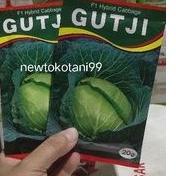 ➪ Benih kubis GUTJI F1 20 gram kol hibrida gutji dari ams ⅍