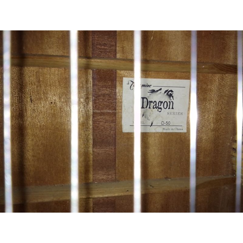 takamine akustik D series