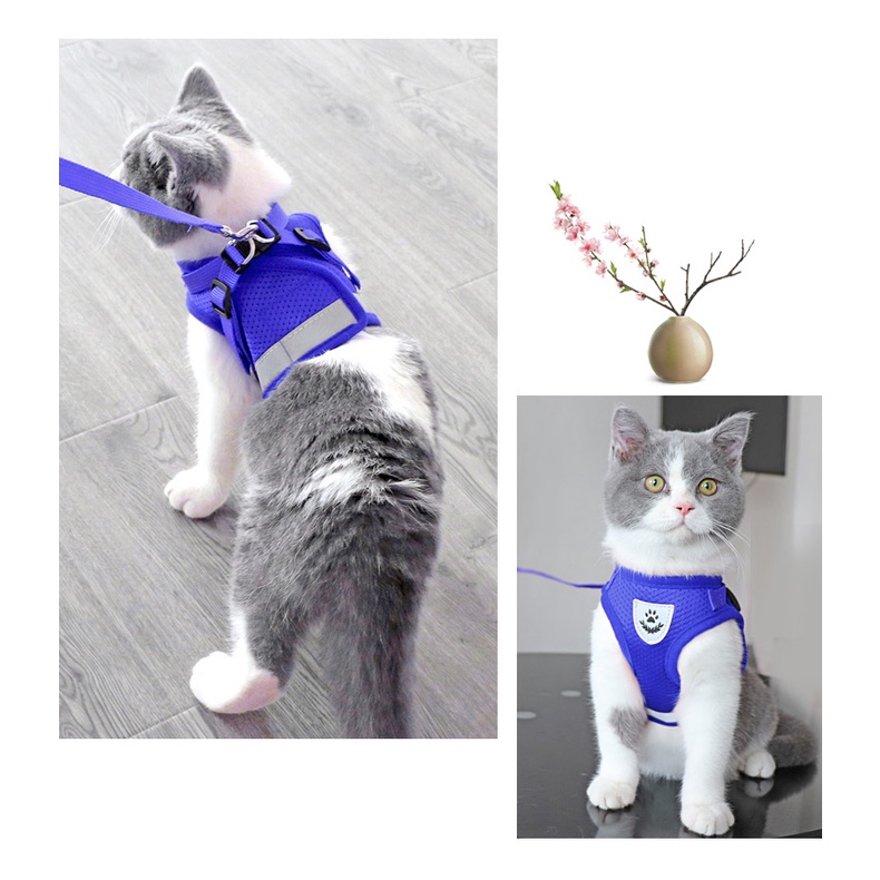 ROMPI HARNESS + TALI TUNTUN ROMPI KUCING ANJING MURAH TALI TUNTUN MURAH CAT DOG LEASH