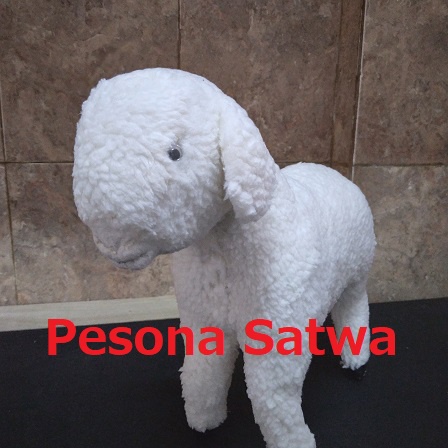 Boneka Domba Putih Kambing -Pesona Satwa-