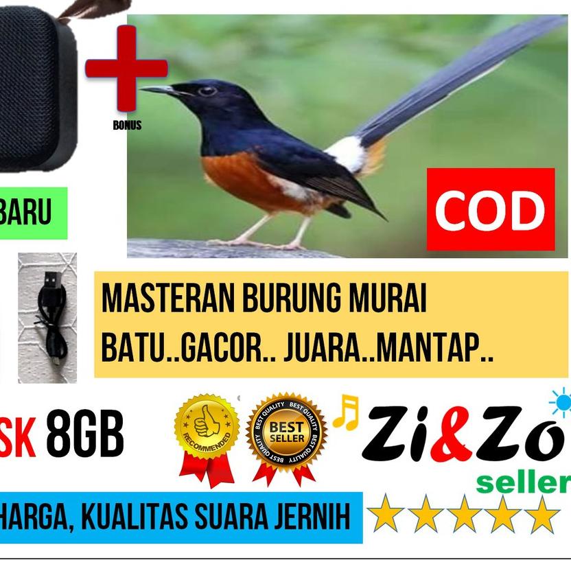 ✫ Speaker Mini T5 USB 8GB Bonus Isi MP3 Masteran Burung Murai Batu Gacor ☚
