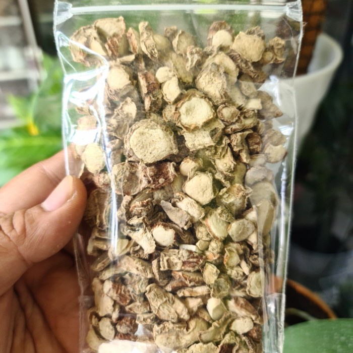 

best produk] Kencur Kering Asli 100gr Kualitas Bagus
