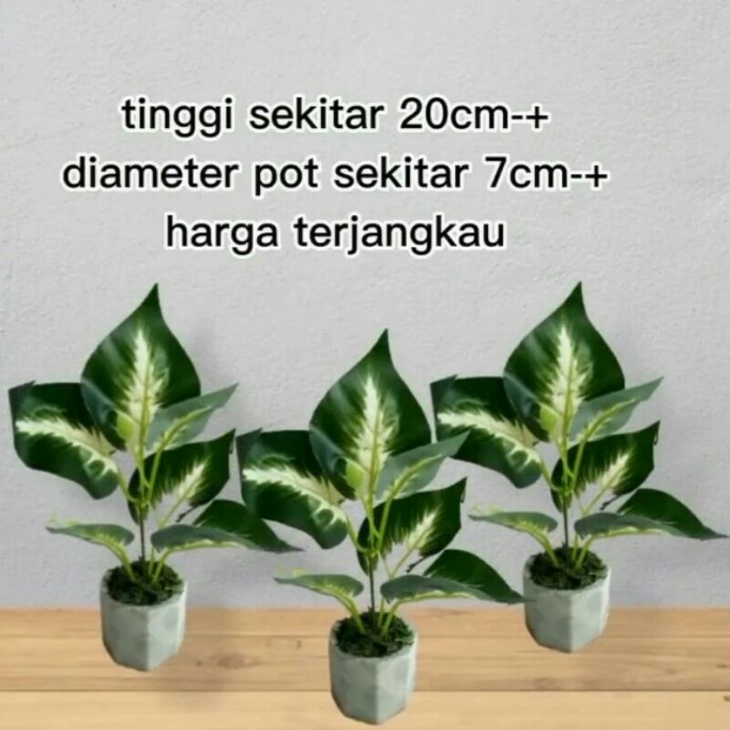 Daun hias plastik bunga artificial concrete pot semen dekorasi bunga aesthetic