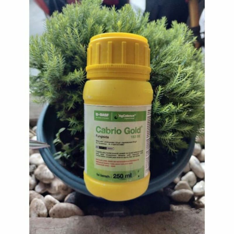 Cabrio Gold 183 SE 250 ml