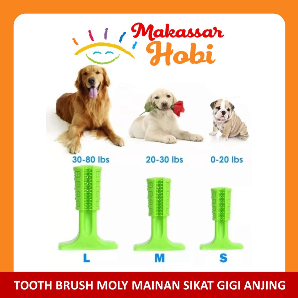 Mainan Sikat Gigi Gigitan Anjing Alat Pembersih Karang Gigi Anak Puppy