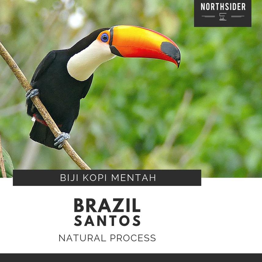 

❋ BIJI KOPI ARABIKA BRAZIL SANTOS SC 17/18 NATURAL - BIJI KOPI MENTAH ✴