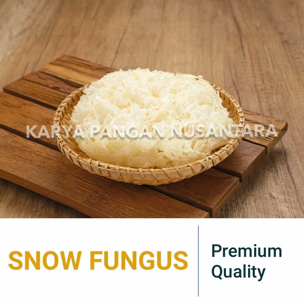 

SNOW FUNGUS JAMUR ES BAI MU ER JAMUR PUTIH JAMUR SALJU KERING PER GRAM