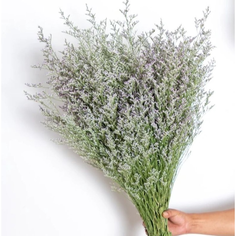 100 Gram Grosir Caspea Dried Flower Natural Limonium