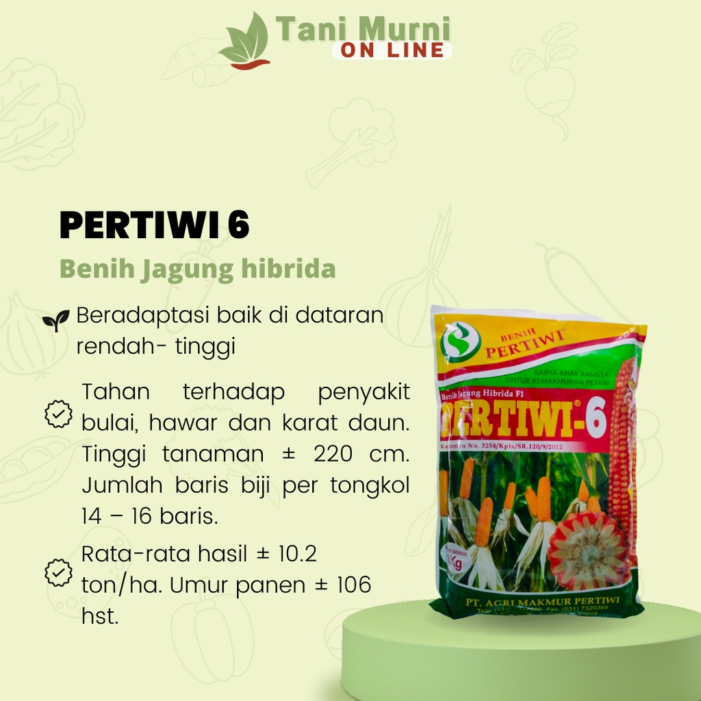 Benih Jagung Hibrida Pertiwi 6 Pertiwi 1 Kg
