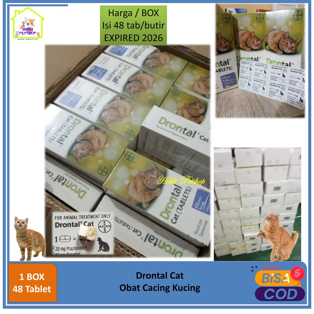 Drontal Cat 1 BOX isi 48 tablet / obat cacing kucing