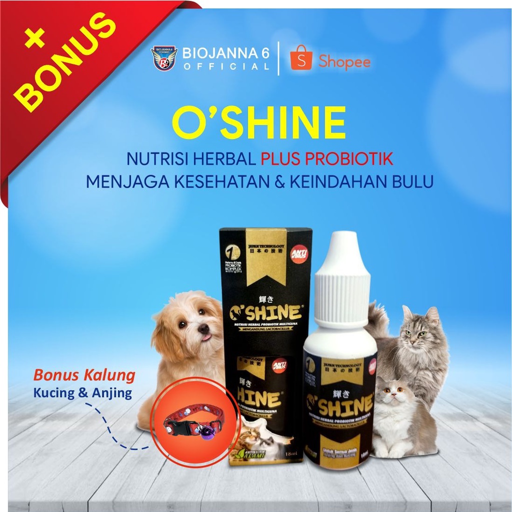 OSHINE PROBIOTIK | OSHINE NUTRISI PENGGEMUK | OBAT KUCING | VITAMIN KUCING | OBAT KUCING PROBIOTIK