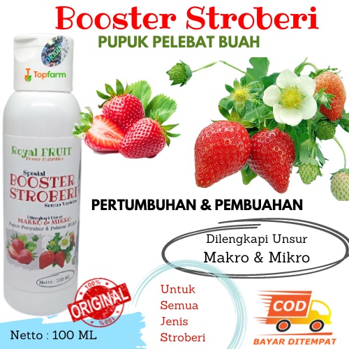 Pupuk Buah Strawberry / Pupuk Booster Strawberry / Pupuk Buah Stroberi / Pupuk Penyubur Buah Strober