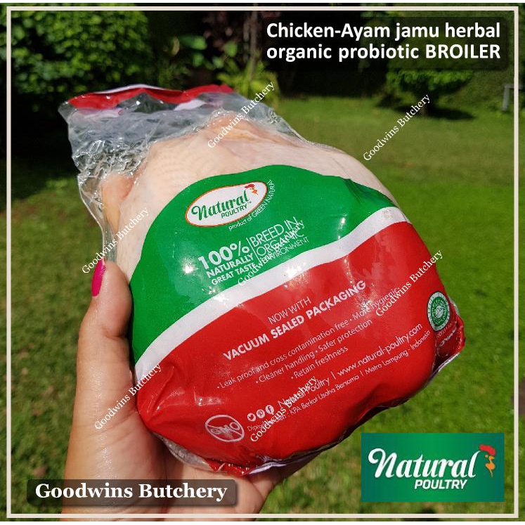 

Ayam PROBIOTIC chicken organic jamu herbal low-fat Natural Poultry BROILER +/- 900 g/pc