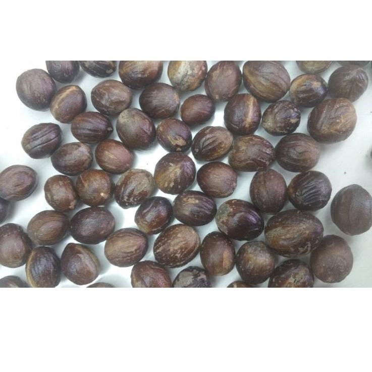 

◌ Pala bulat dapat 1 kg. Kualitas Ekspor ✱
