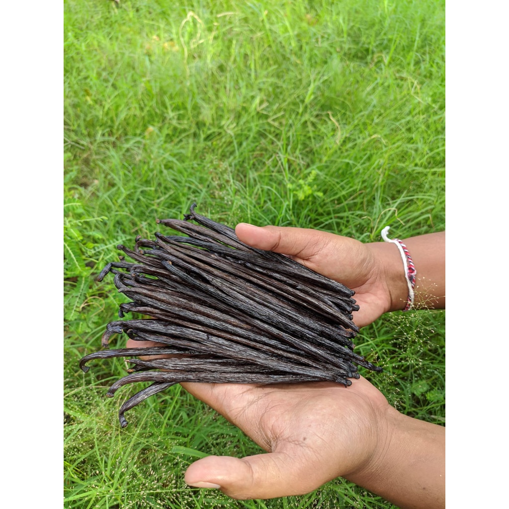 

(TERMURAH) Planifolia Madagascar Bourbon Vanilla Bean Pods - Gourmet Grade A Quality