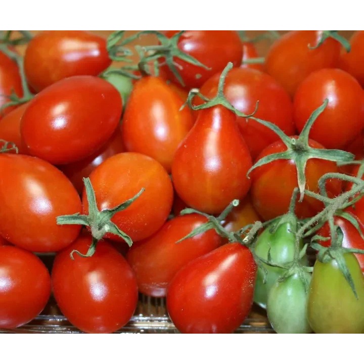 15 BUTIR BIJI/BENIH TOMAT REDPEAR
