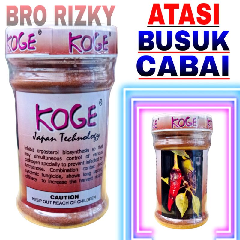 OBAT PERTANIAN KOGE 100gr ATASI BUSUK BUAH PADA CABE