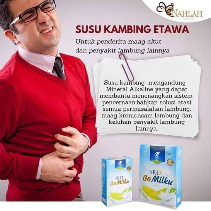 

SUSU KAMBING ETAWA UNTUK MAAG AKUT DAN LAMBUNG GOMILKU SR12 GO MILKU SR12 SUSU UNTUK MAAG AKUT SUSU ETAWA UNTUK PENDERITA MAAG AKUT BPOM HALAL