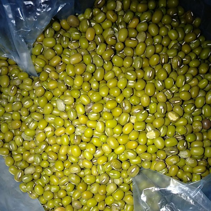 

Kacang Hijau Ijo mentah