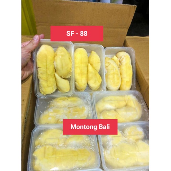 

durian montong bali super