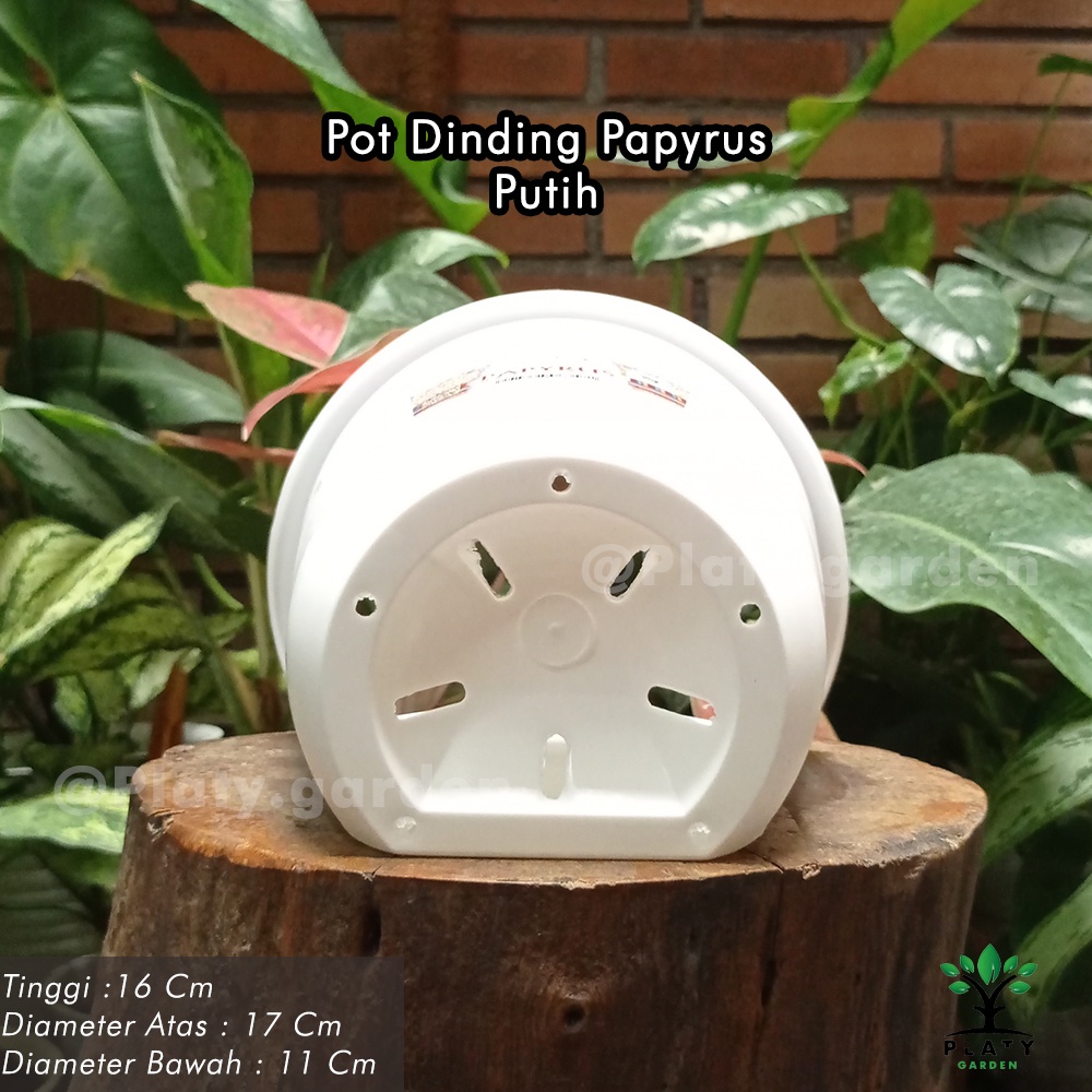 Pot Dinding Papyrus 6357 Putih