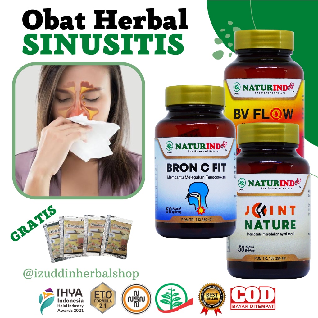 Paket Obat Herbal Sinusitis Aman Alami Naturindo