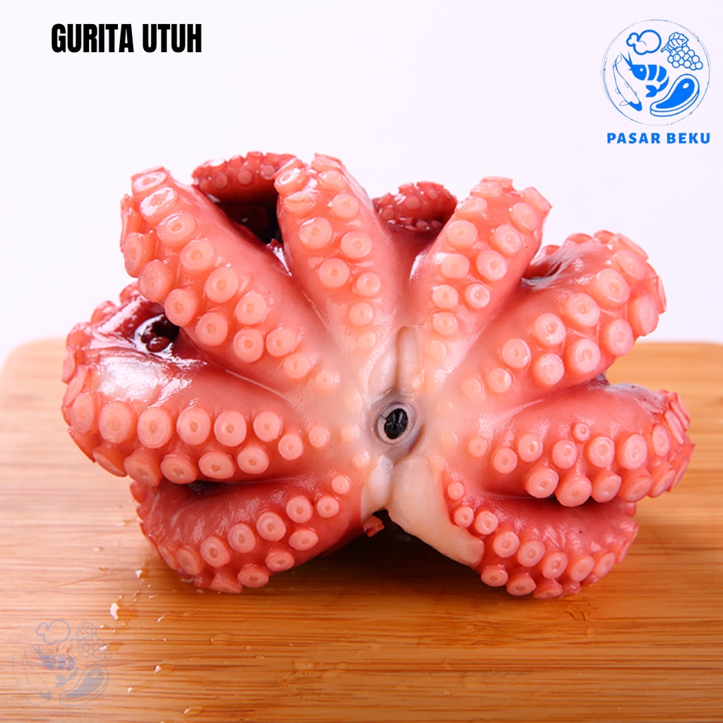 

Gurita Utuh Fresh Seafood 500gr Pasar Beku Padang