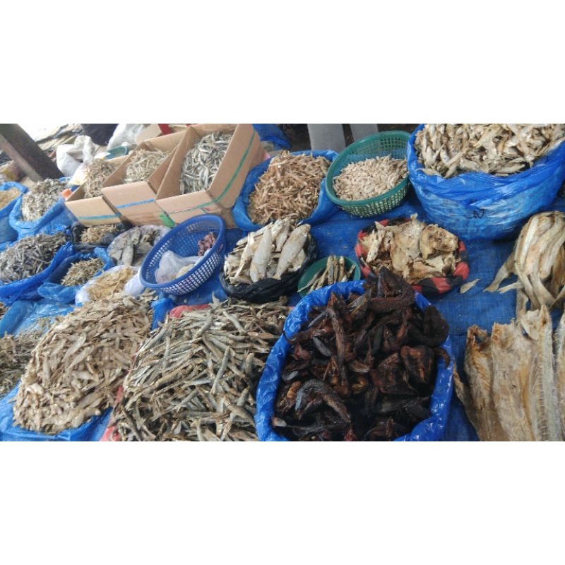 

Ikan Asin Macoo 100 gr