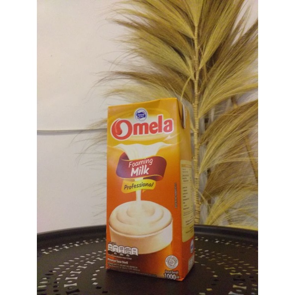 

Omela Foaming Milk Professional 1000ml / 1 pcs