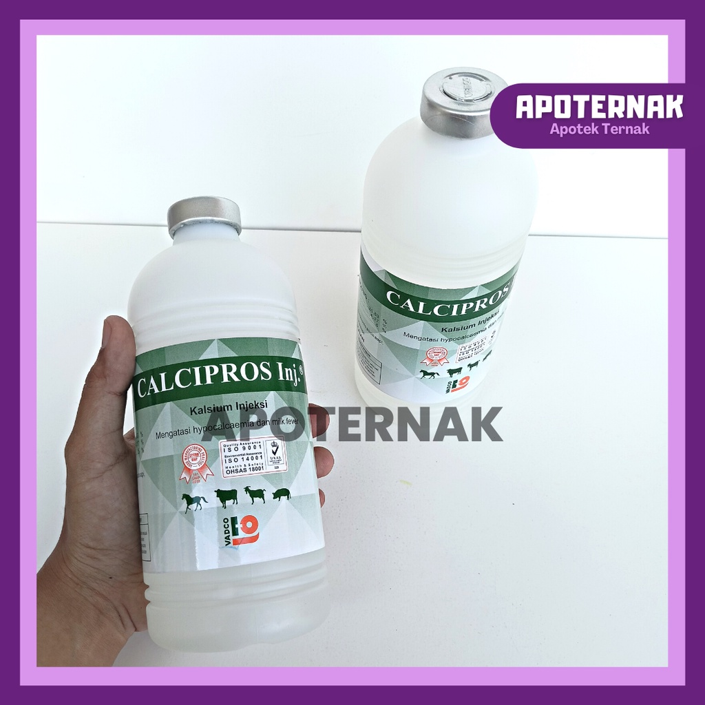 CALCIPROS INJ 500 ml | Kalsium Infus Untuk HYPOCALCEMIA atau Kekurangan Kalsium Ternak Sapi Kambing | Seperti Calsidex Calcidex