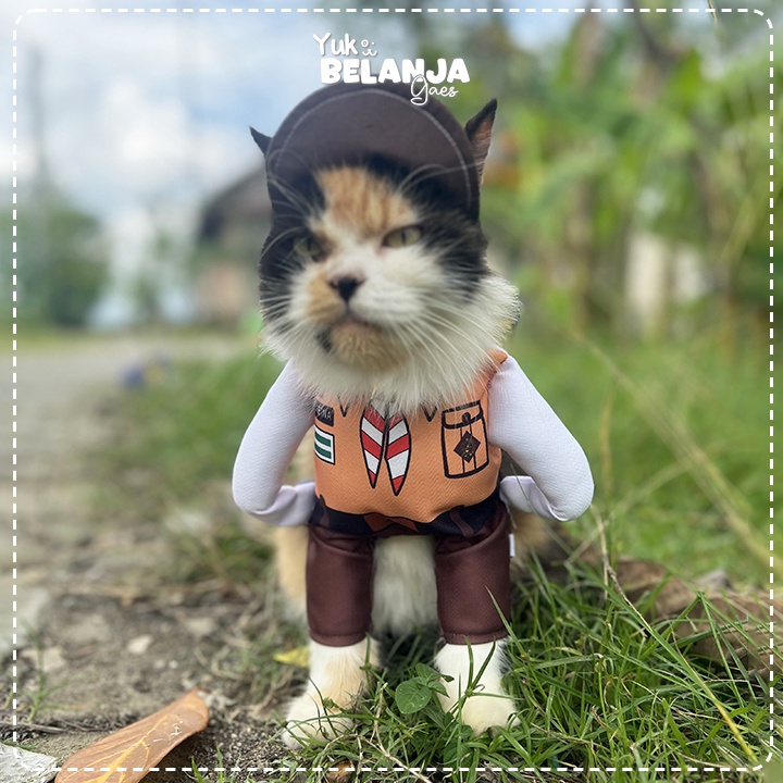 Baju Kucing Bahan Poliester Kostum Anak Sekolah Pramuka Series Terlucu Baju Kucing anjing kelinci Lucu murah Size XS-XL / Yuk Belanja Gaes!