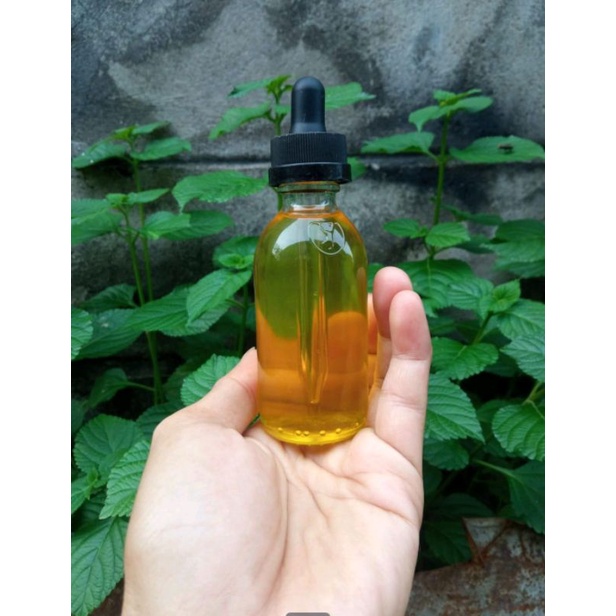 Minyak Rambut Kemiri Asli Untuk Menebalkan Rambut