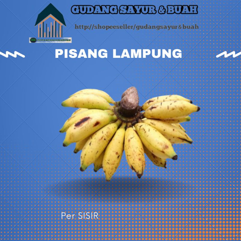 

PISANG LAMPUNG PERSISIR