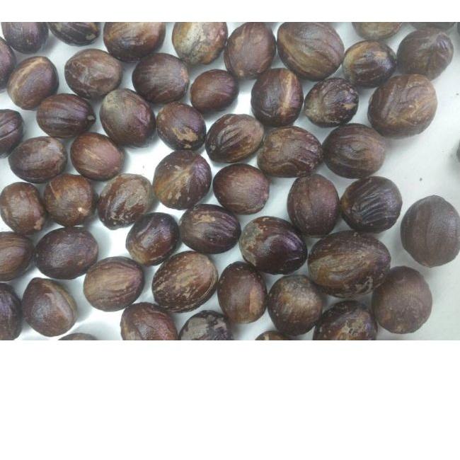 

☂ Pala bulat dapat 1 kg. Kualitas Ekspor ♨